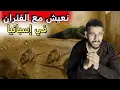 Download Lagu دخلت مدرسة مهجورة فوجدت 150 حراگ يعيشون في الظلام و الخوف... هل كانت غلطة عمر؟