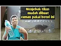 Download Lagu Cara membuat perangkap tikus dari botol bekas air mineral