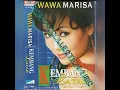 Download Lagu Wawa Marisa - Kapan Pulang (cipt.Asmin Cayder)
