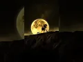 1 March 2024 live wallpapers