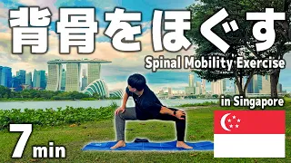 【毎日7分】背骨をほぐすだけで体が軽くなるエクササイズ in Singapore🇸🇬