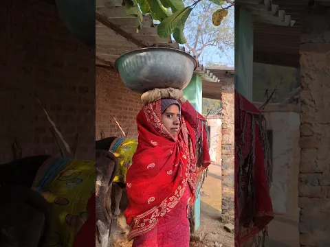 गोबर का कहर 😃🔥🙉 Bhai Bahan ka majak bua ka gussa #shortsfeed #funnyvideo #comedy