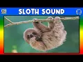 SLOTH SOUND - SLOTH SOUND EFFECT