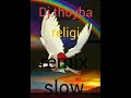 Lagu dj ya thoyba religi_terbaru ( full bass) Djremix slow 2021