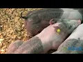 A Day in the Life Lindsay Henricks - Selecting a Show Pig