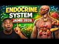 Endocrine System JAMB Biology 2026 This Topic Must Come Out in JAMB