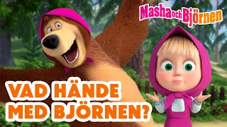 Masha och Björnen 👧🐻 Vad hände  med Björnen? 🐻😲❓✨ Ett måste att se! ⭐ Samling av avsnitt