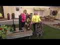 Download Lagu How to be a 10 minute Gardener Suzie Presents Flower Tower