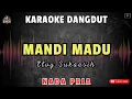 Download Lagu MANDI MADU - Elvy Sukaesih || KARAOKE NADA PRIA