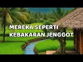 🎆 MEREKA SEPERTI KEBAKARAN JENGGOT 🎆
