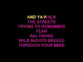 John Mellencamp - Me'Shell Ndegéocello - Wild Night - Duet or Solo - Karaoke - With Backing Vocals