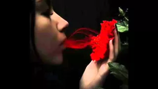    عبدالمجيد عبدالله   لا تجرح المجروح               دندنها