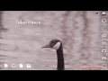 Python About Object Oriented Programming