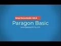 Paragon Basic 2025
