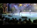 Download Lagu Magic Affair - Give Me All Your Love (Live) 1994
