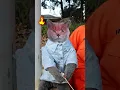 Download Lagu Don’t Worry!😲 My Genius Candy Hack Will Shock You🍭☕ #catvideos #catmemes #trending