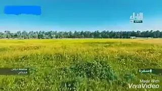 اغنية كردية يبحث عنها الجميع   كردي نسريني مع اجمل جولة في سماء مندلي الحبيبة دندنها