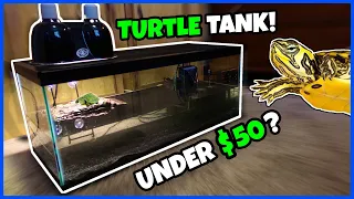 CHEAPEST WAY To Set Up A TURTLE TANK