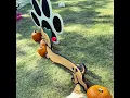 Pawtoberfest in Richardson Texas at Huffhines Park