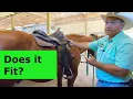 Western saddle fit Does this saddle fit