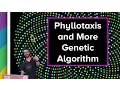 Live Stream - Phyllotaxis and More on Genetic Algorithms