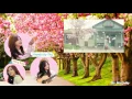 [Lyric Video] Jeong Eun Ji(정은지) - Hopefully sky(하늘바라기) (Feat. Hareem(하림))