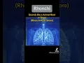Download Lagu Abnormal Breath Sounds: Wheeze, Rhonchi, Rales #physicianassistant #medicine #lungs #fypシ #fyp