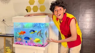 BOUGHT AQUARIUM FOR COLORFULL FISHES!😍