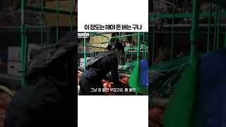 이 정도는 해야 돈 버는 구나 ㅣ눈에 띄는 그녀들9