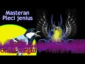Download Lagu [Audio Master] Master Pleci Jenius (  Gelatik Wingko )