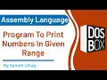 Program to print Numbers in Given Range in assembly languaue DosBox 8086 Sameh UlHaq