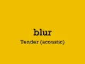 blur Tender (acoustic)