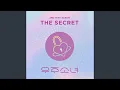 Download Lagu Secret (비밀이야) (Chinese Ver.)