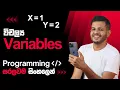 Variables Explained Programming Concepts