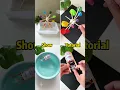 DIY water toys Go try it out Simple handmade toys