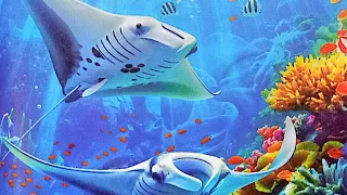 مراجعة عامة اختبار شهر نوفمبر 2026 