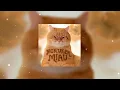 LENAR - MONTAGEM MIAU