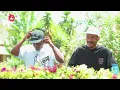 Amapiano | Groove Cartel Presents Sxova & NTSAKO XVI