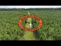 Explore Buffalo Creek Outfitters Deer Bear Turkey Hunting in Eastern North Carolina