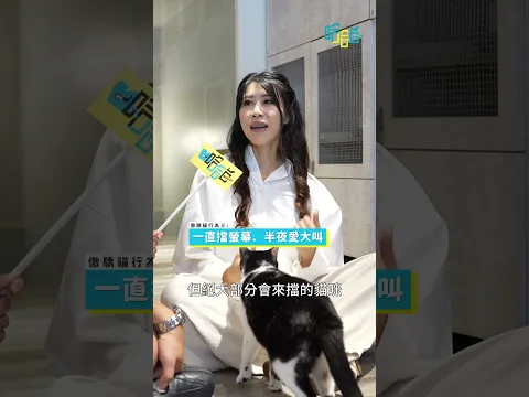 貓咪行為專家解釋主子們令人不解的行為...