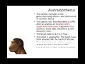 Expt 13 Study of models of fossil man B Sc zoology