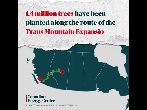 WATCH: Habitat restoration along the Trans Mountain route