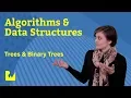 Trees and Binary Trees -