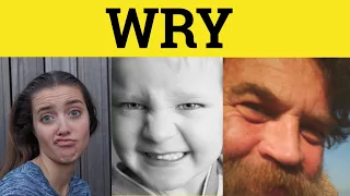 Wry Meaning - Wryly Examples