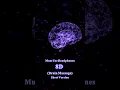 Recharge your Brain in 1 Minute | 8D music of deep focus and relaxation.