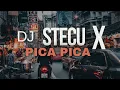 Download Lagu DJ STECU X PICA PICA VIRAL TIKTOK 2025