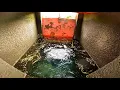 Download Lagu MAU HERAN TAPI DI JEPANG‼️ | nemu sarang ikan besar di selokan pinggir sawah