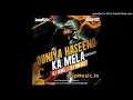 Download Lagu Duniya Haseeno Ka Mela (Remix) DJ Sevix N DJ Nafizz