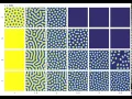 Turing patterns in a reaction-diffusion model