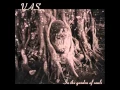 Download Lagu Vas - In The Garden Of Souls